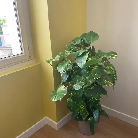 Superbe Centre * Clim * Wifi * De Gamme * Apartman *