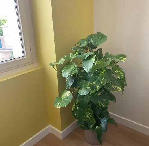 Superbe Centre * Clim * Wifi * De Gamme * Apartamento *